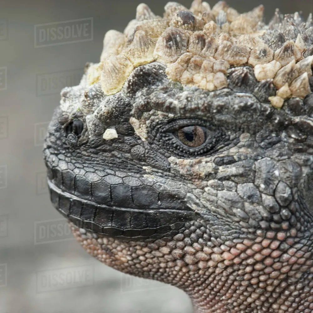 whyaduck.bsky.social's profile picture