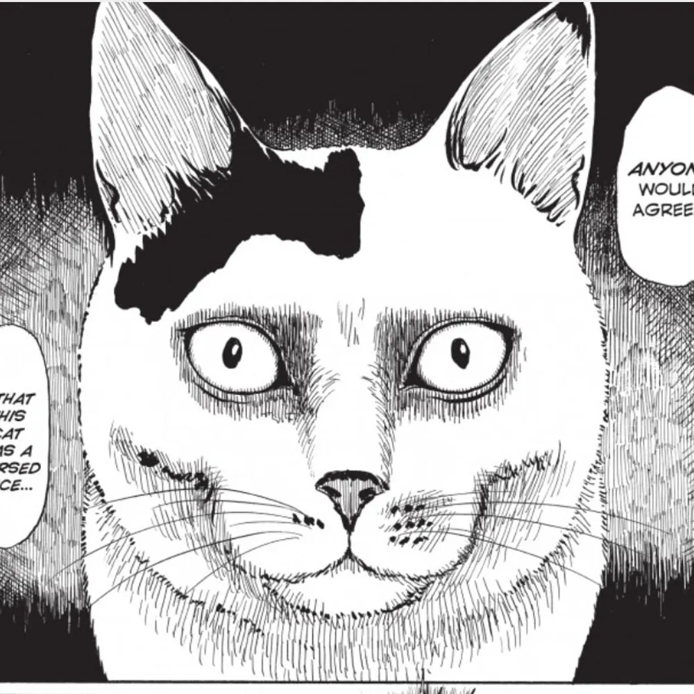 jb4c.bsky.social's profile picture