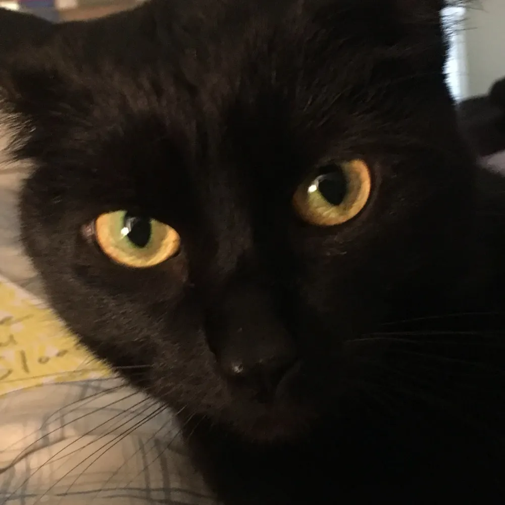 barelyhere.bsky.social's profile picture