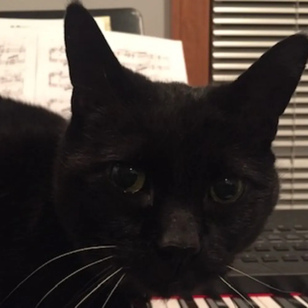 rachelnotrebecca.bsky.social's profile picture