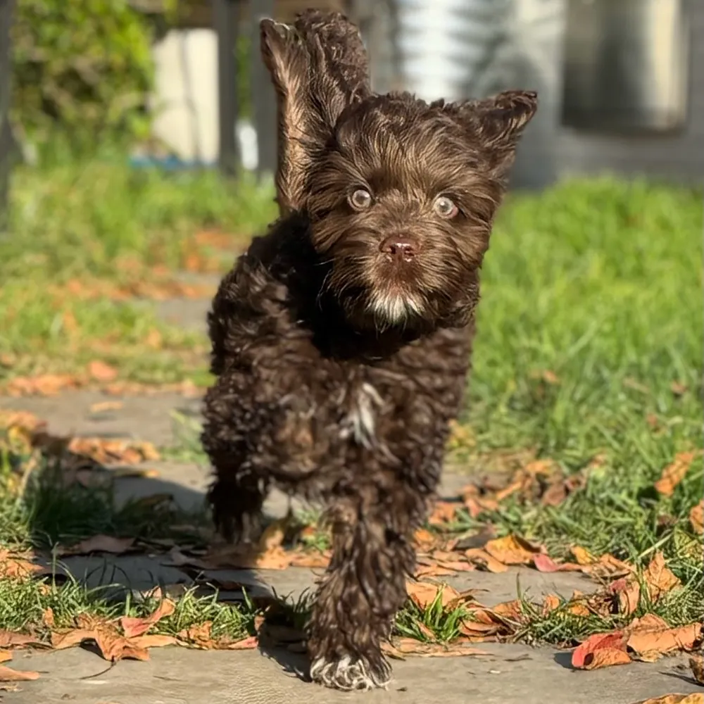 abhsc.bsky.social's profile picture