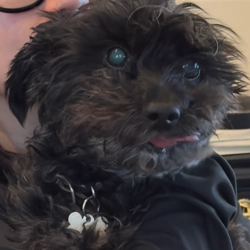 rodneuson.bsky.social's profile picture