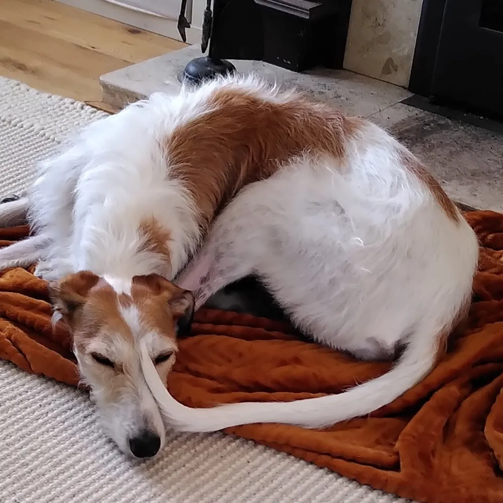 misshap.eurosky.social's profile picture