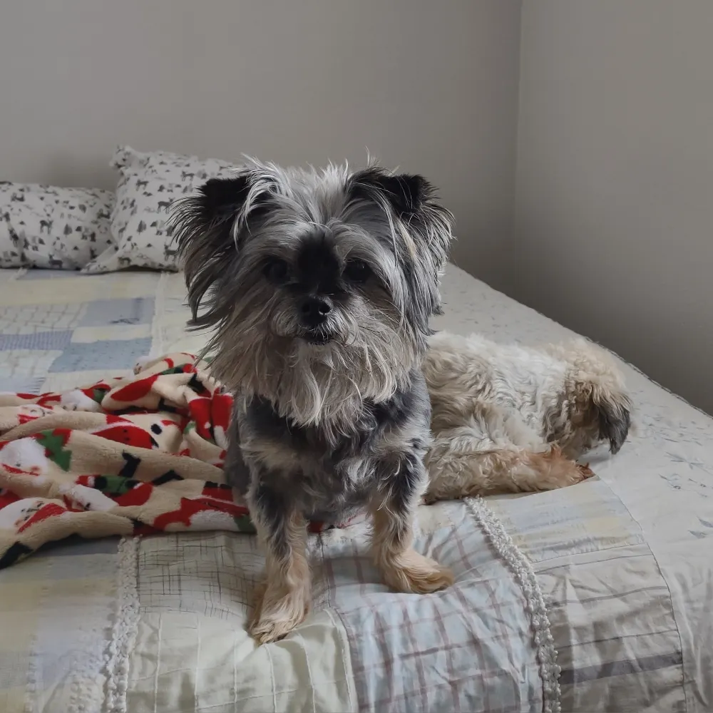 madwoman1961.bsky.social's profile picture