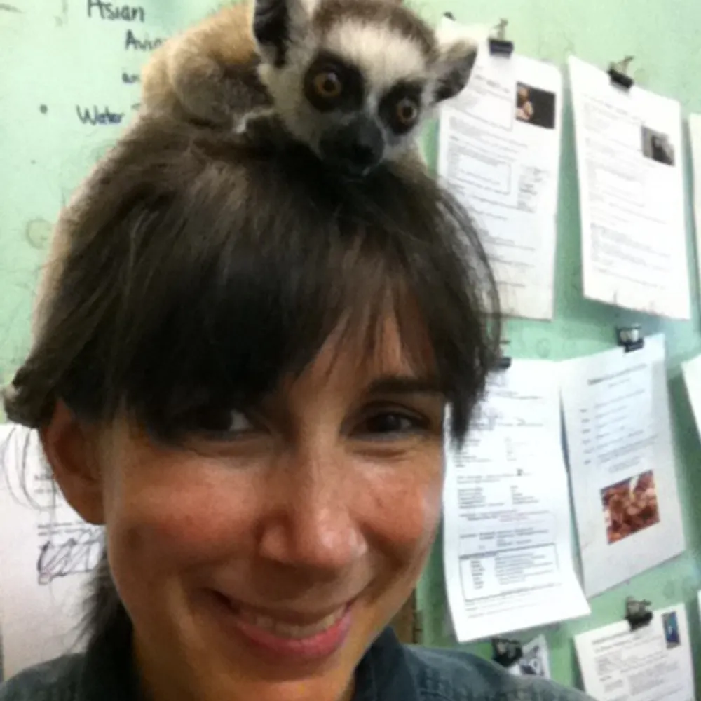 zoophilosophy.bsky.social's profile picture