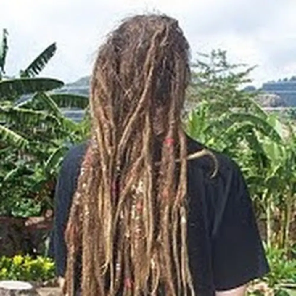 ligi.de's profile picture