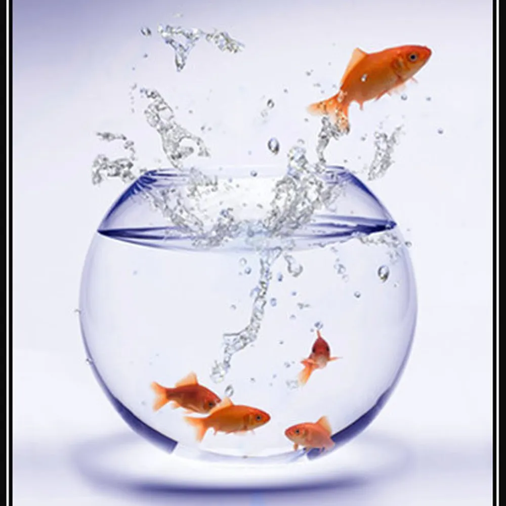 professler.bsky.social's profile picture