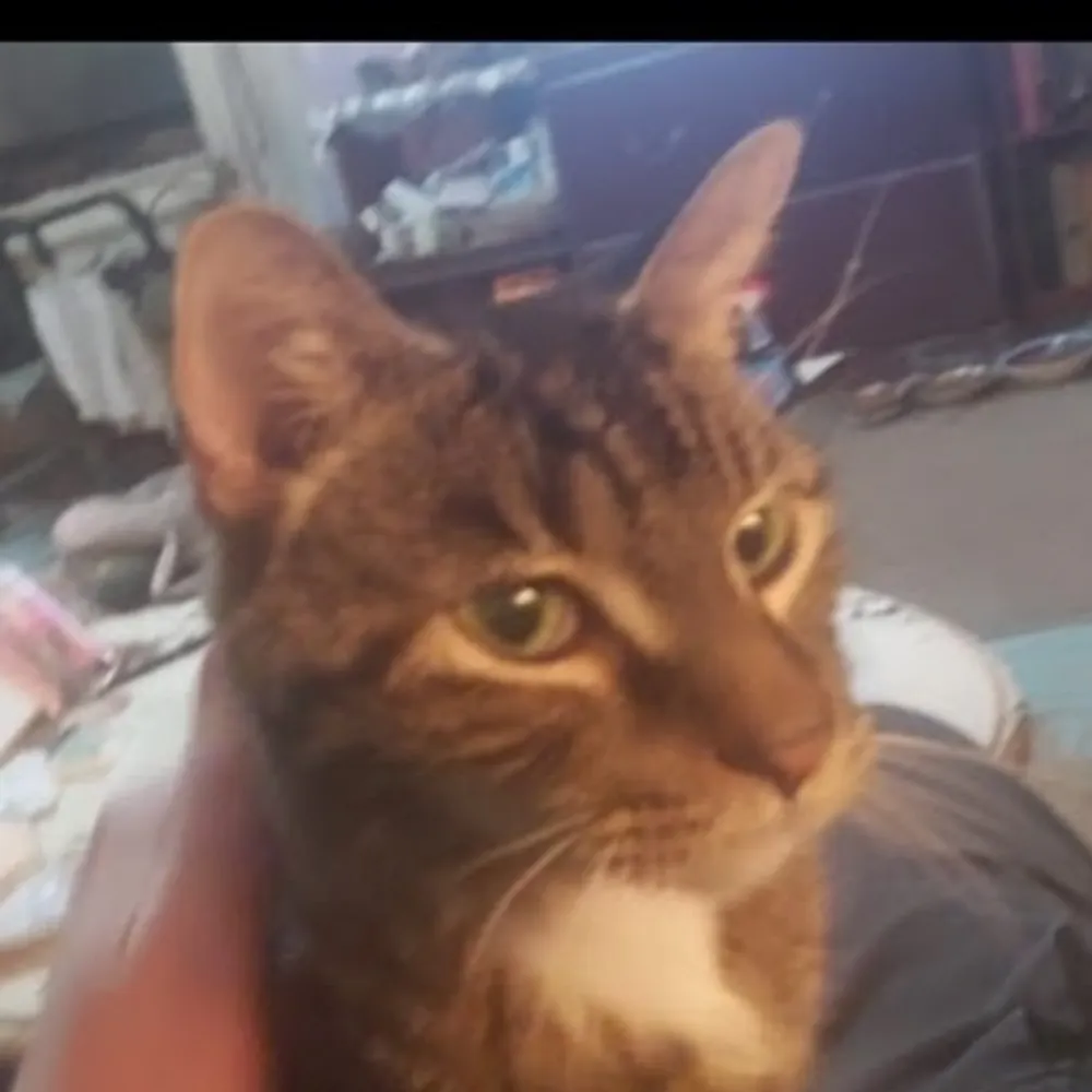 timlieder.bsky.social's profile picture