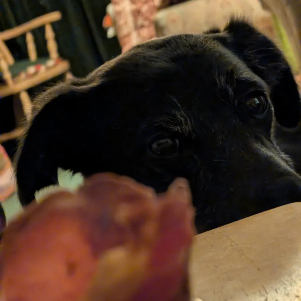 jackwright.online's profile picture