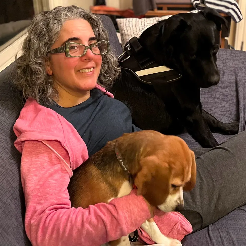 jobarraket.bsky.social's profile picture