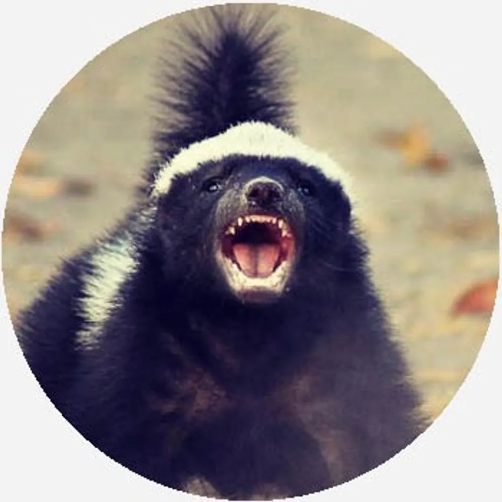 mellivorin.bsky.social's profile picture