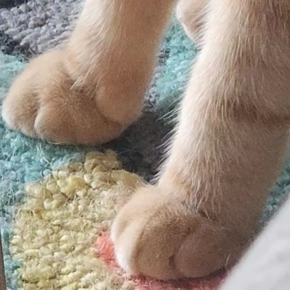 gweemz.bsky.social's profile picture