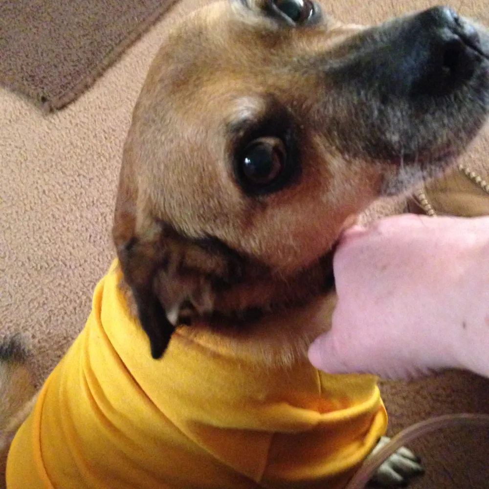 kbaney64.bsky.social's profile picture