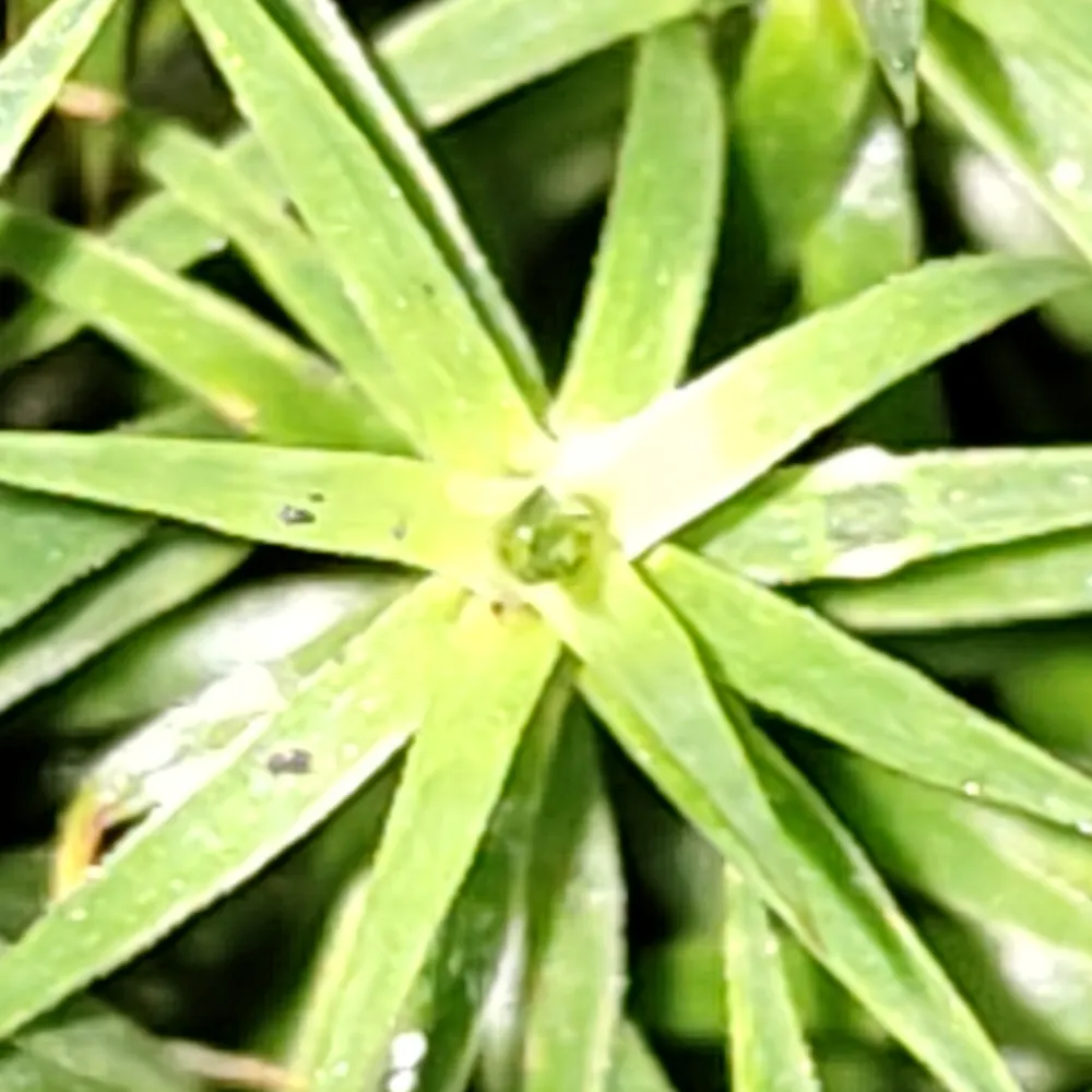 paperigo.bsky.social's profile picture