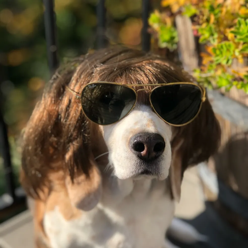 tryharder24.bsky.social's profile picture