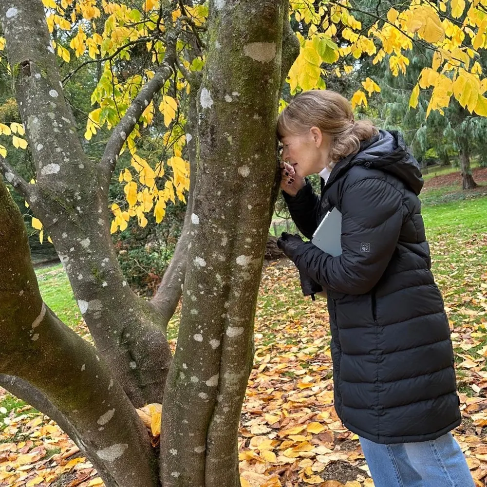 kerrywhippet.bsky.social's profile picture