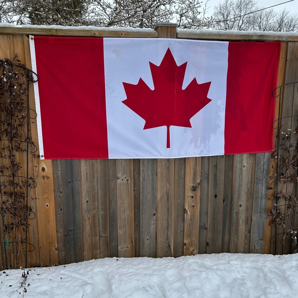 thereallsc.bsky.social's profile picture