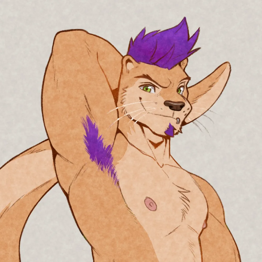 xcetra.bsky.social's profile picture