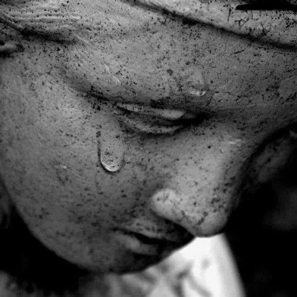 el-maverick.bsky.social's profile picture