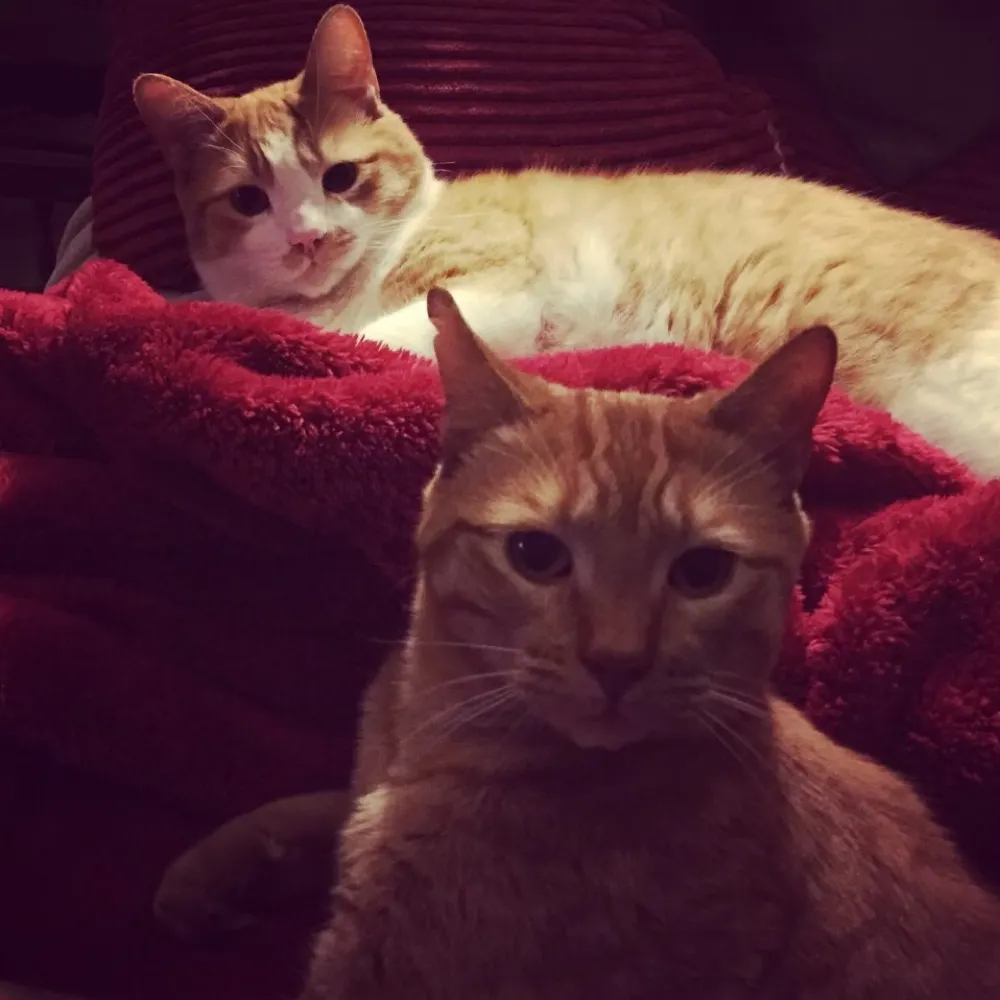 rubyskits.bsky.social's profile picture