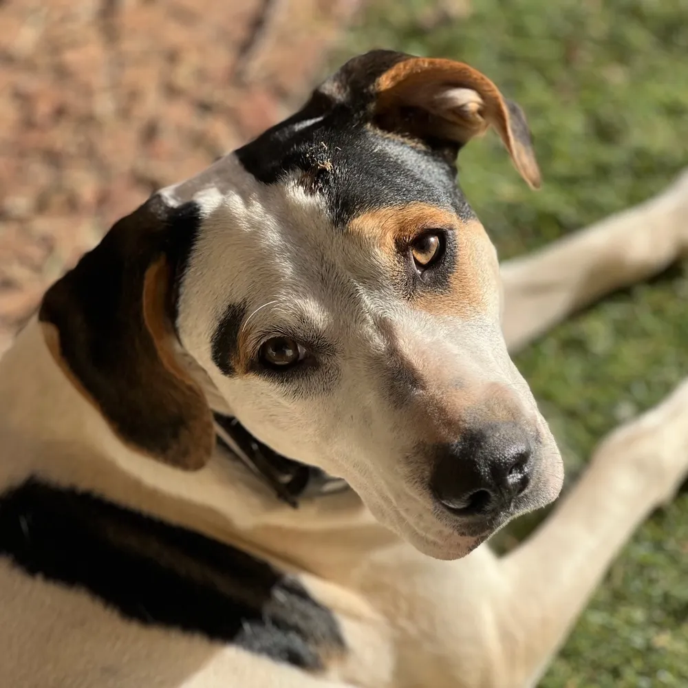 merryghouled.bsky.social's profile picture