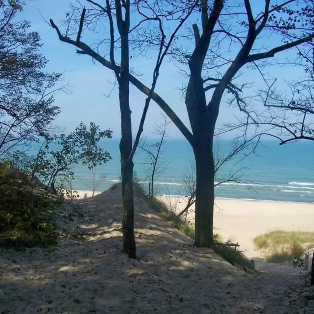 bookwoman.bsky.social's profile picture