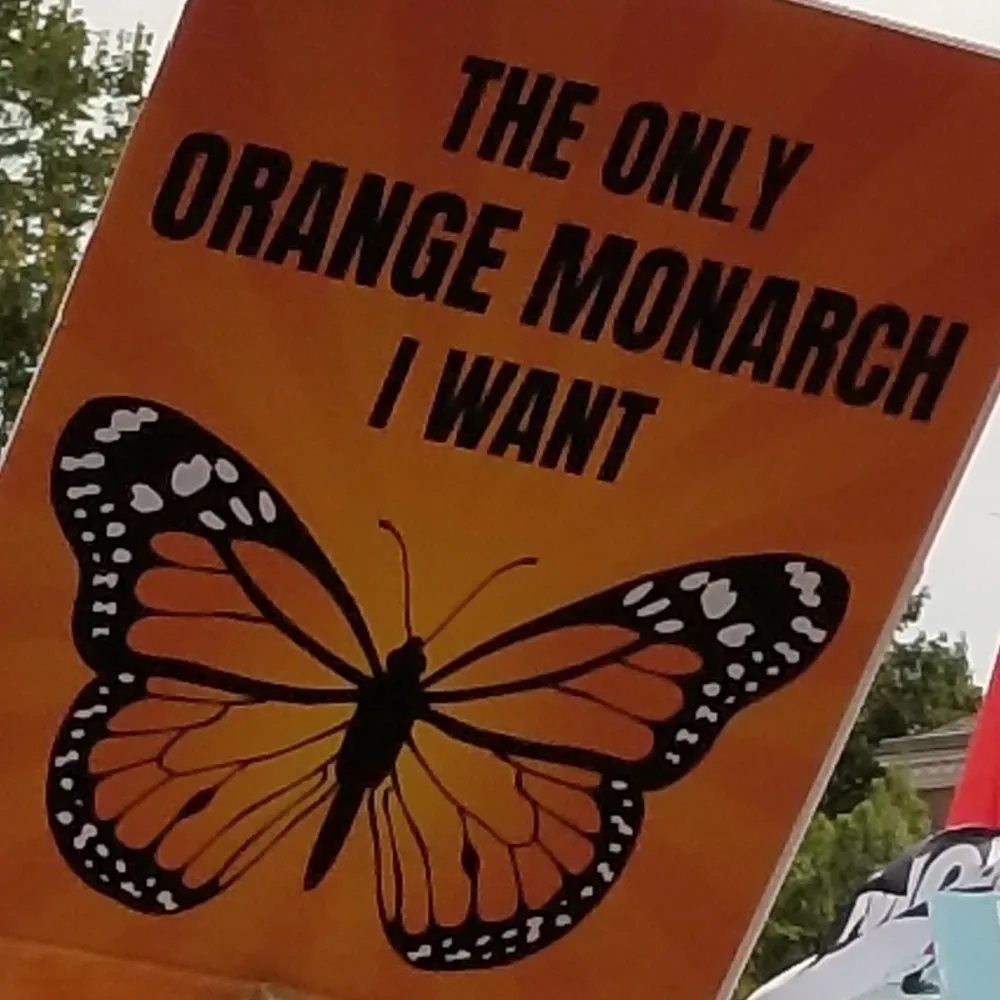 reneebay.bsky.social's profile picture