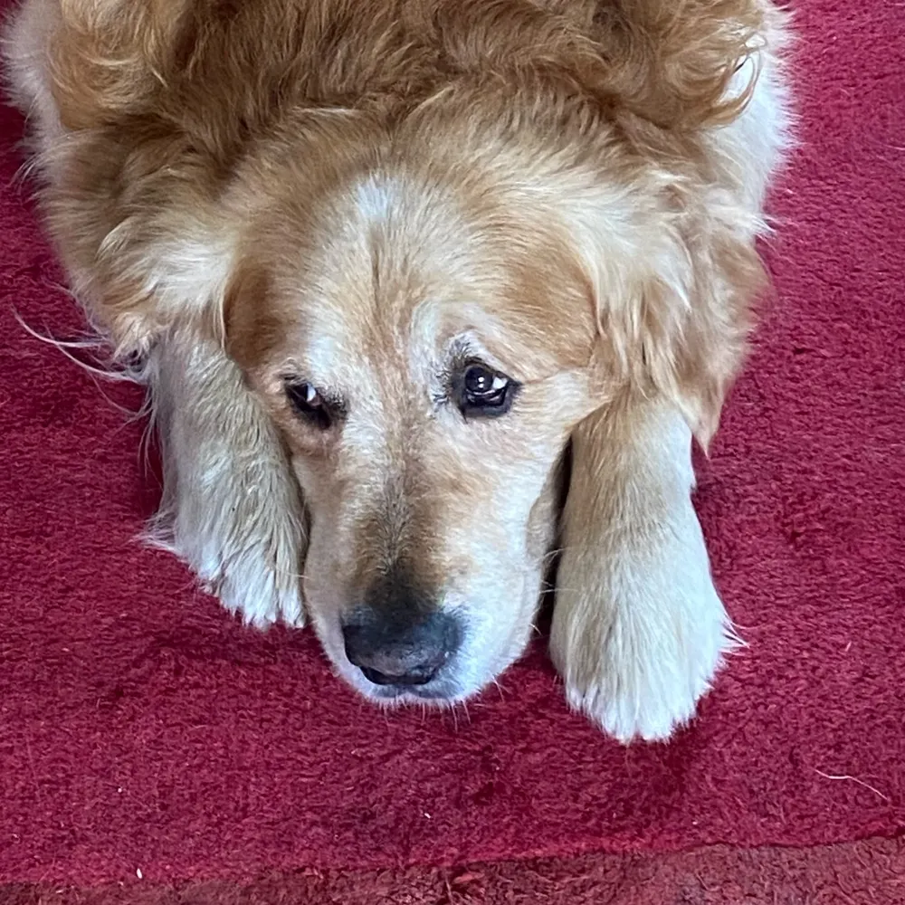 henk-muller.bsky.social's profile picture