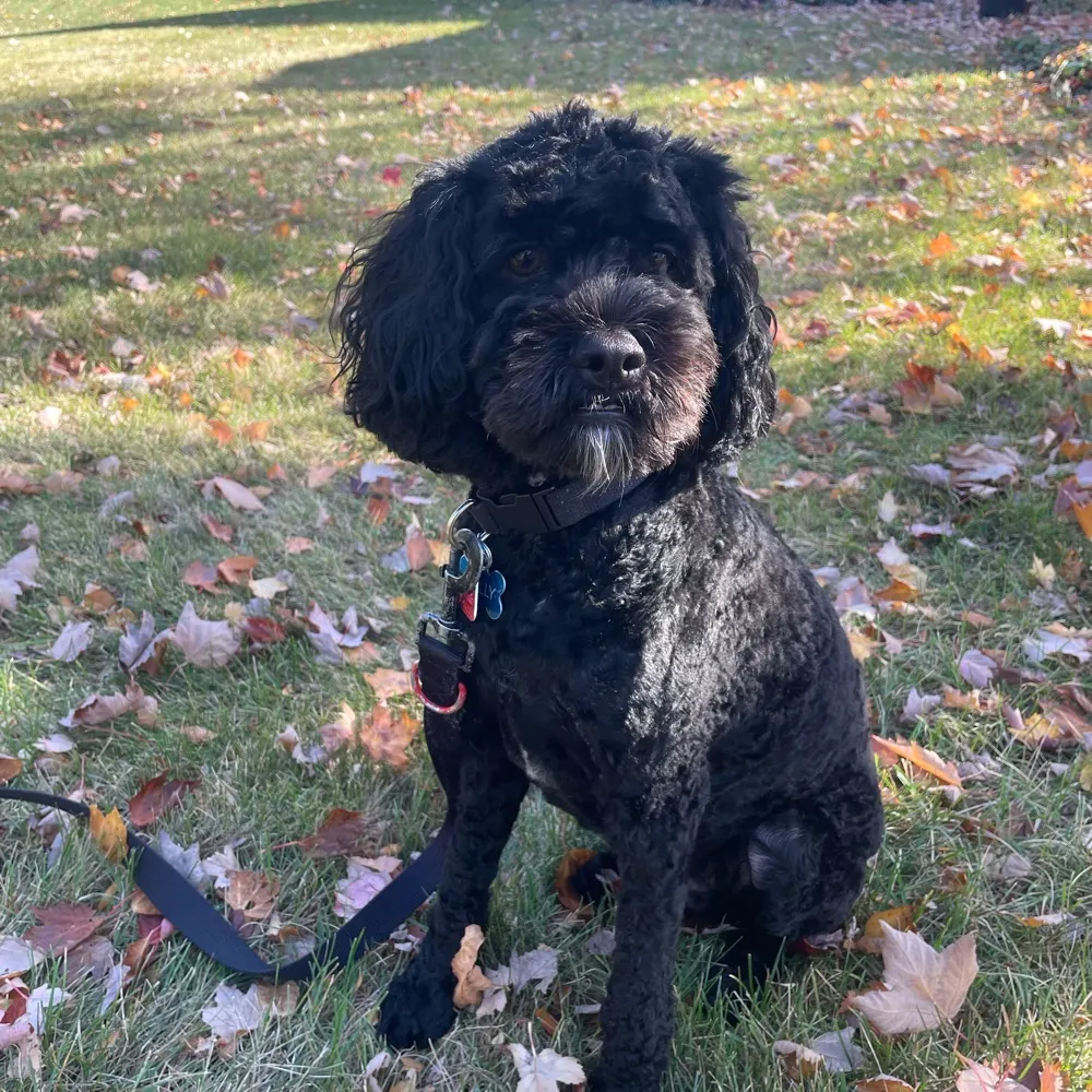 ftg227.bsky.social's profile picture