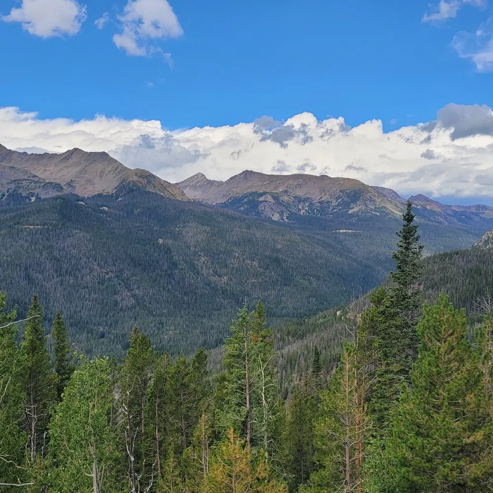 roadfarmer.bsky.social's profile picture