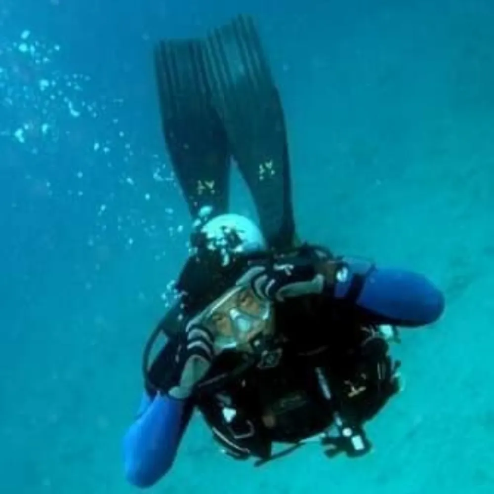 allantwarren.bsky.social's profile picture