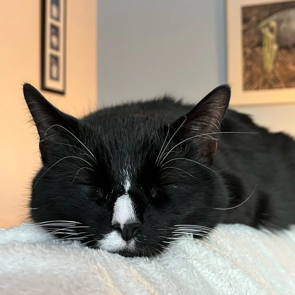 douginhalifax.bsky.social's profile picture