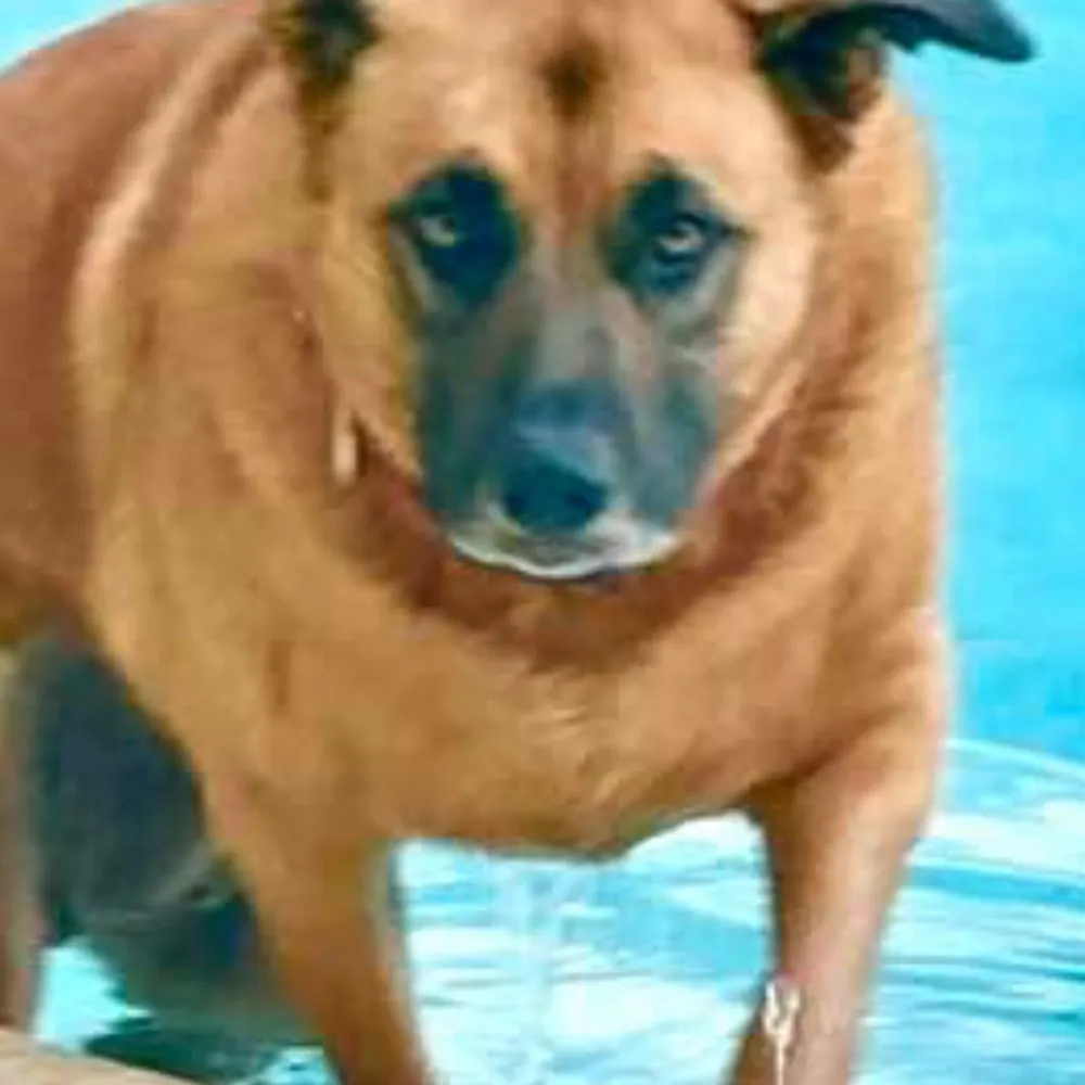 mrsjones2025.bsky.social's profile picture