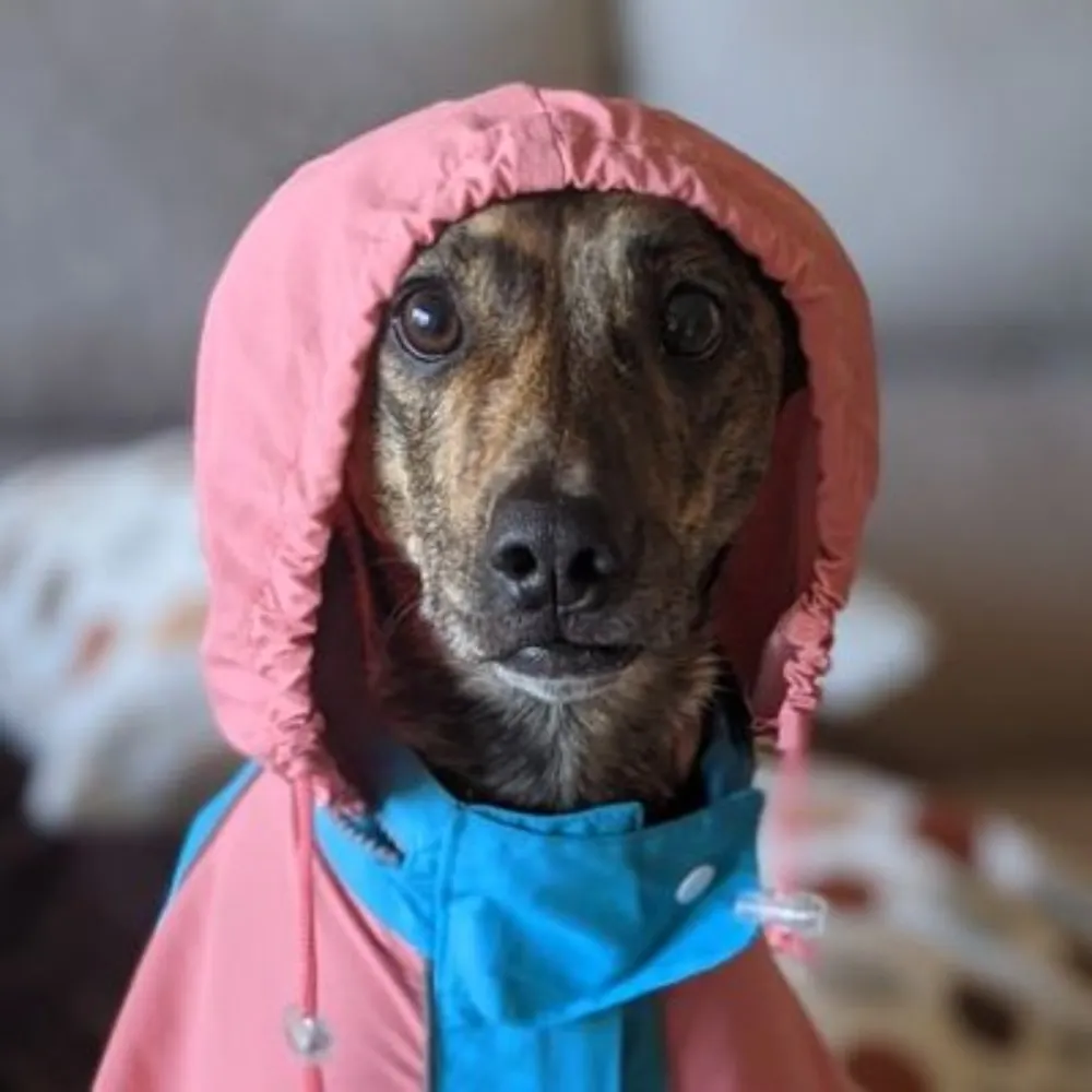 jesusitter.bsky.social's profile picture