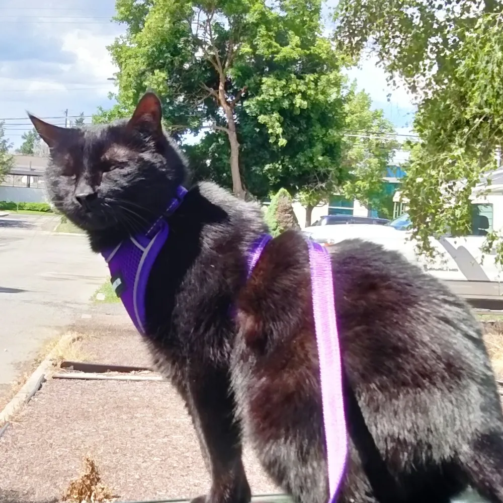 70andexhausted.bsky.social's profile picture