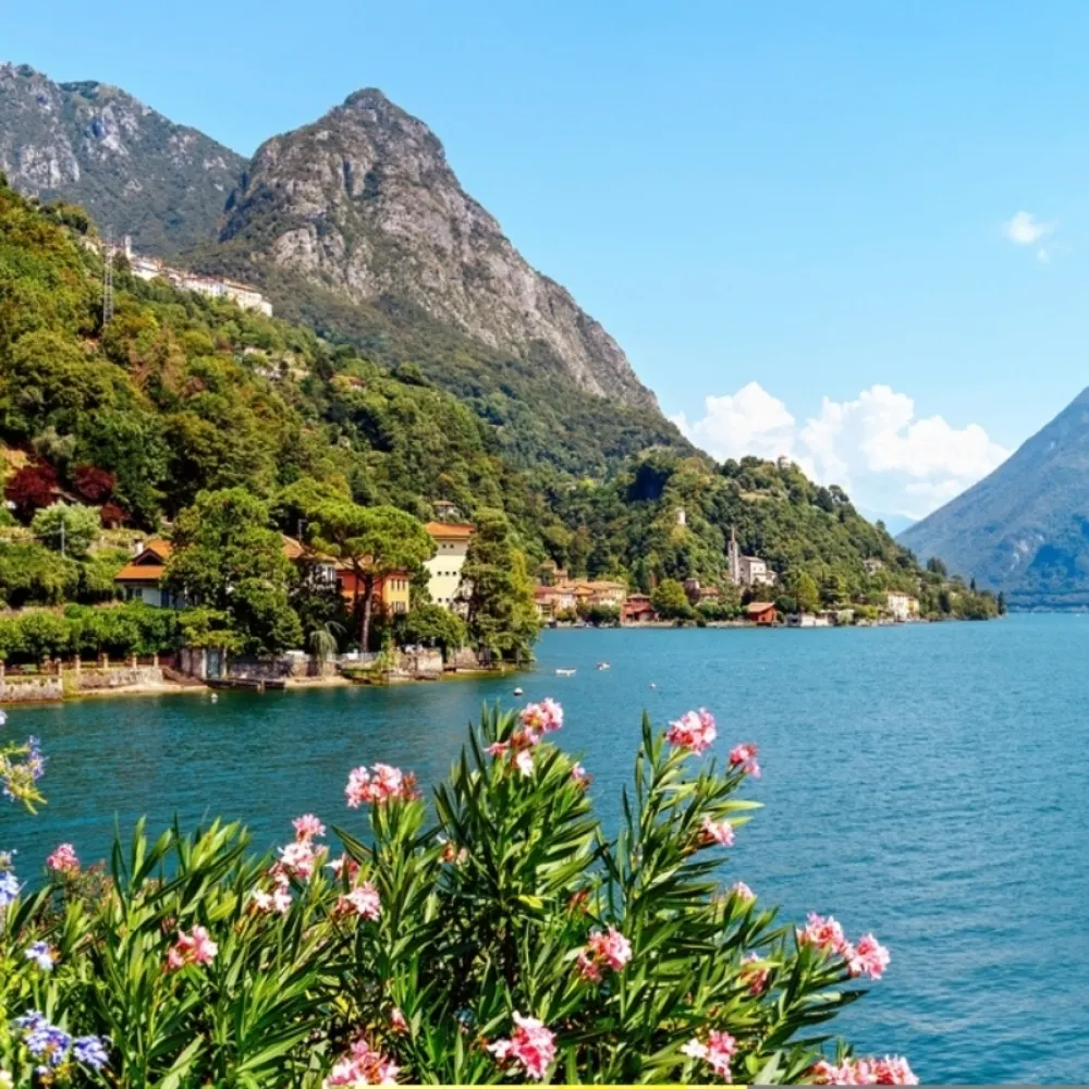 arcluganoch.bsky.social's profile picture