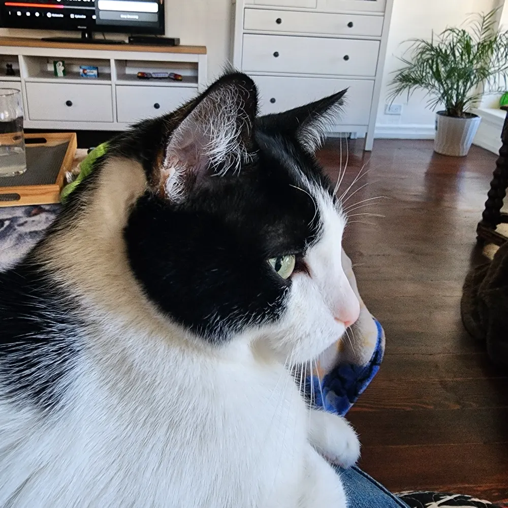 cranemonster.bsky.social's profile picture