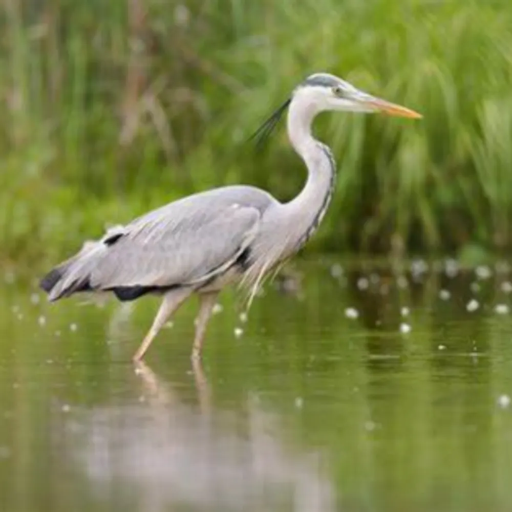 wokeellie.bsky.social's profile picture