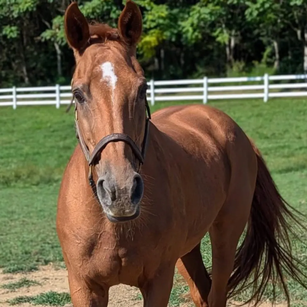 martyjll.bsky.social's profile picture