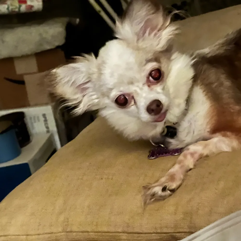 blakesmom.bsky.social's profile picture