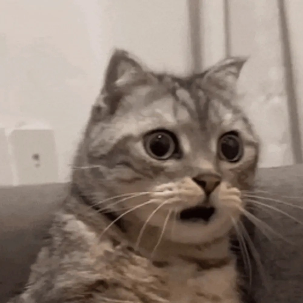 lylebryan.bsky.social's profile picture