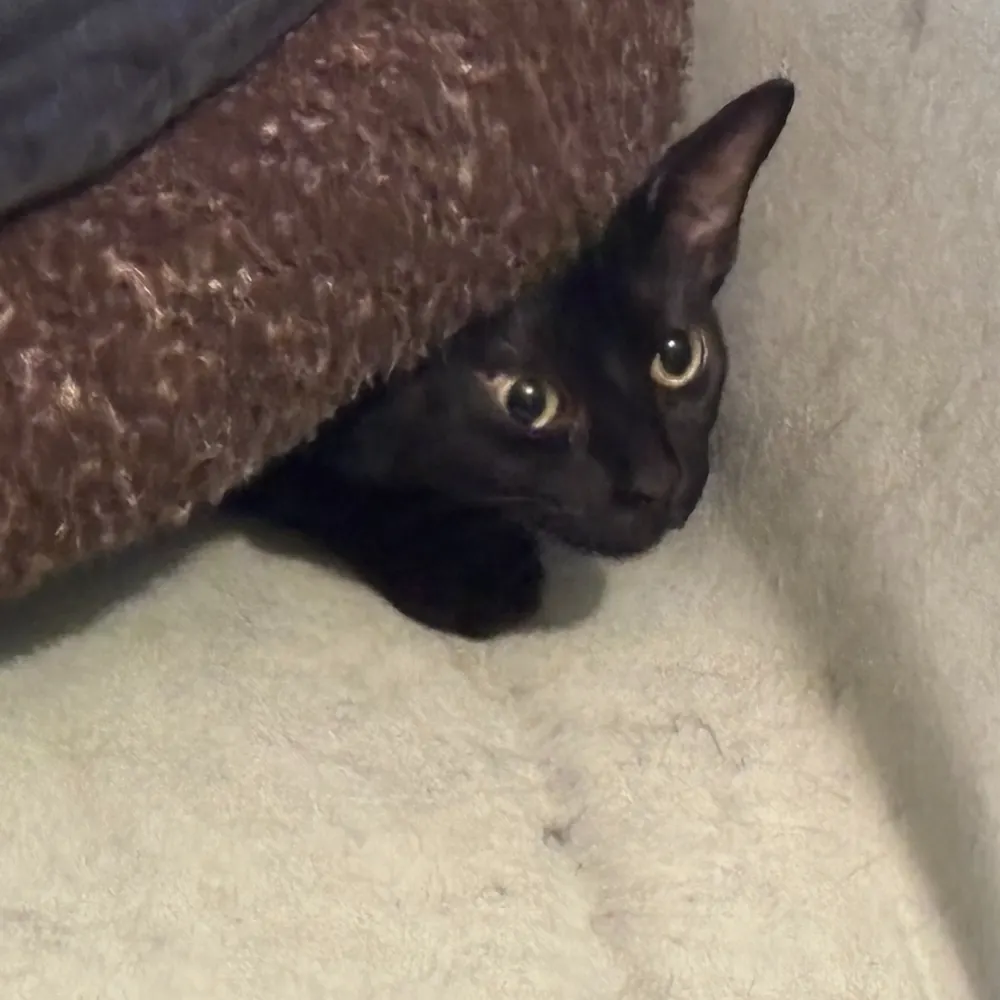 telemark.bsky.social's profile picture