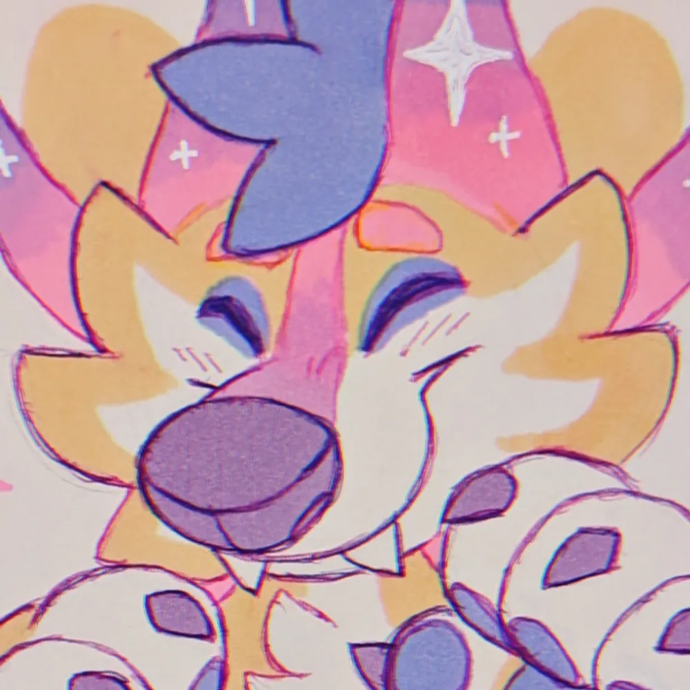 curiah.city's profile picture