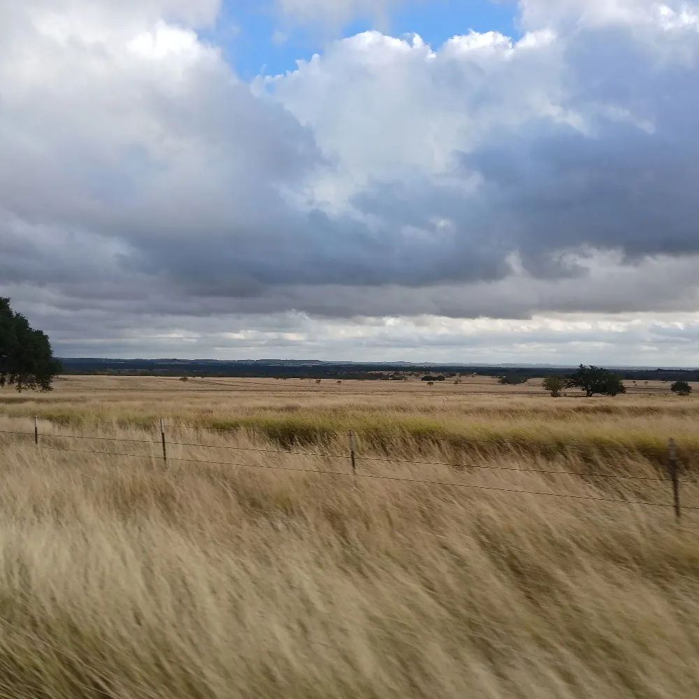 swest57.bsky.social's profile picture