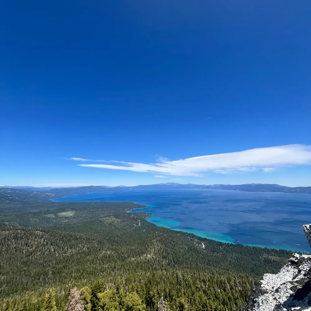 wonderworld2025.bsky.social's profile picture