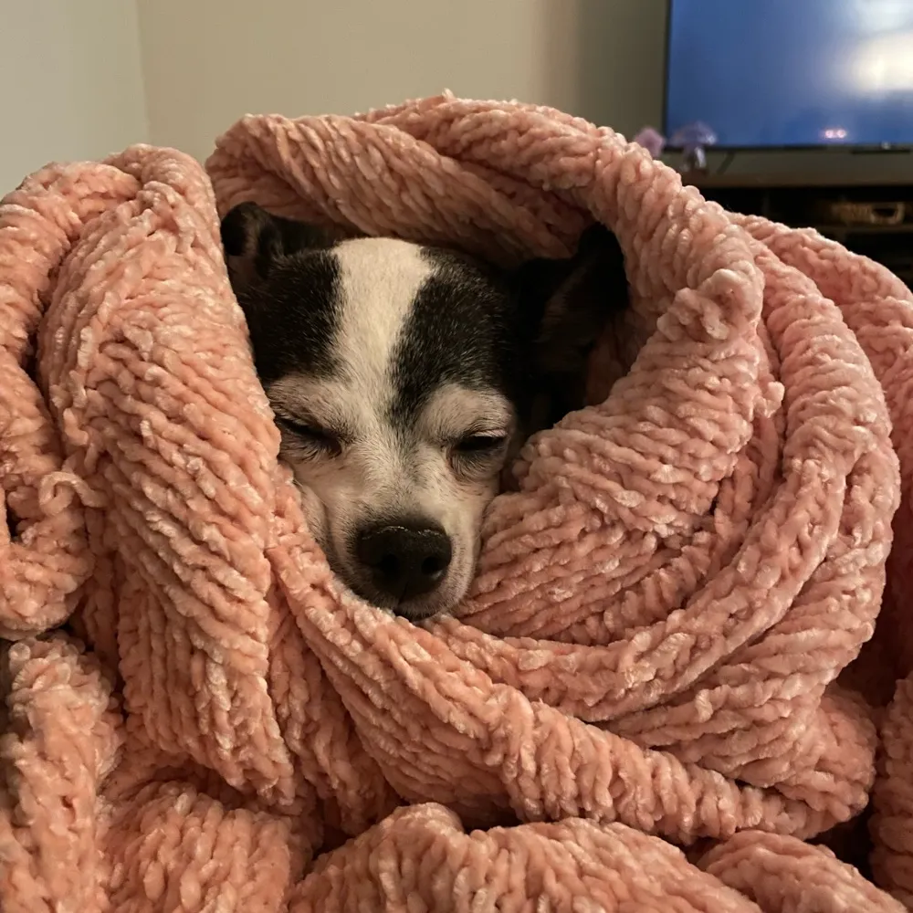 maybeolder.bsky.social's profile picture