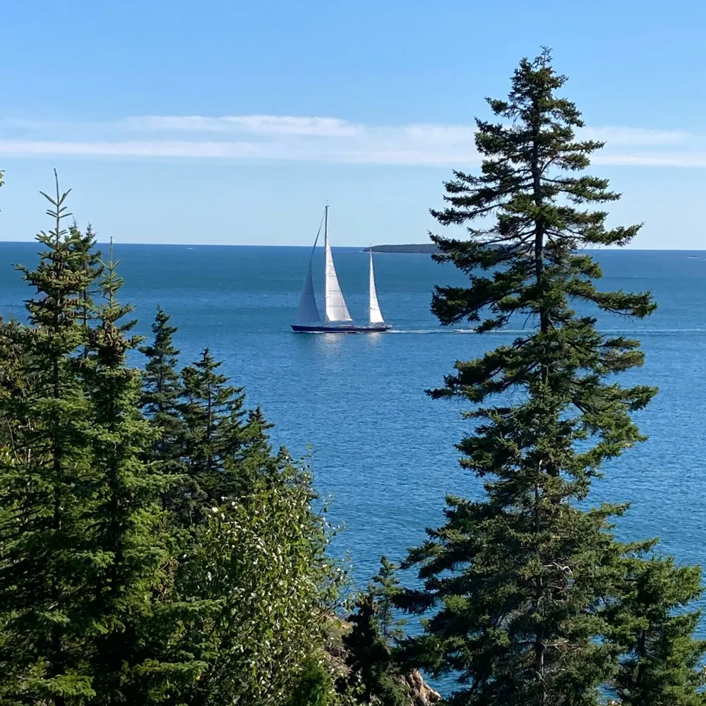 quiltbyhand.bsky.social's profile picture