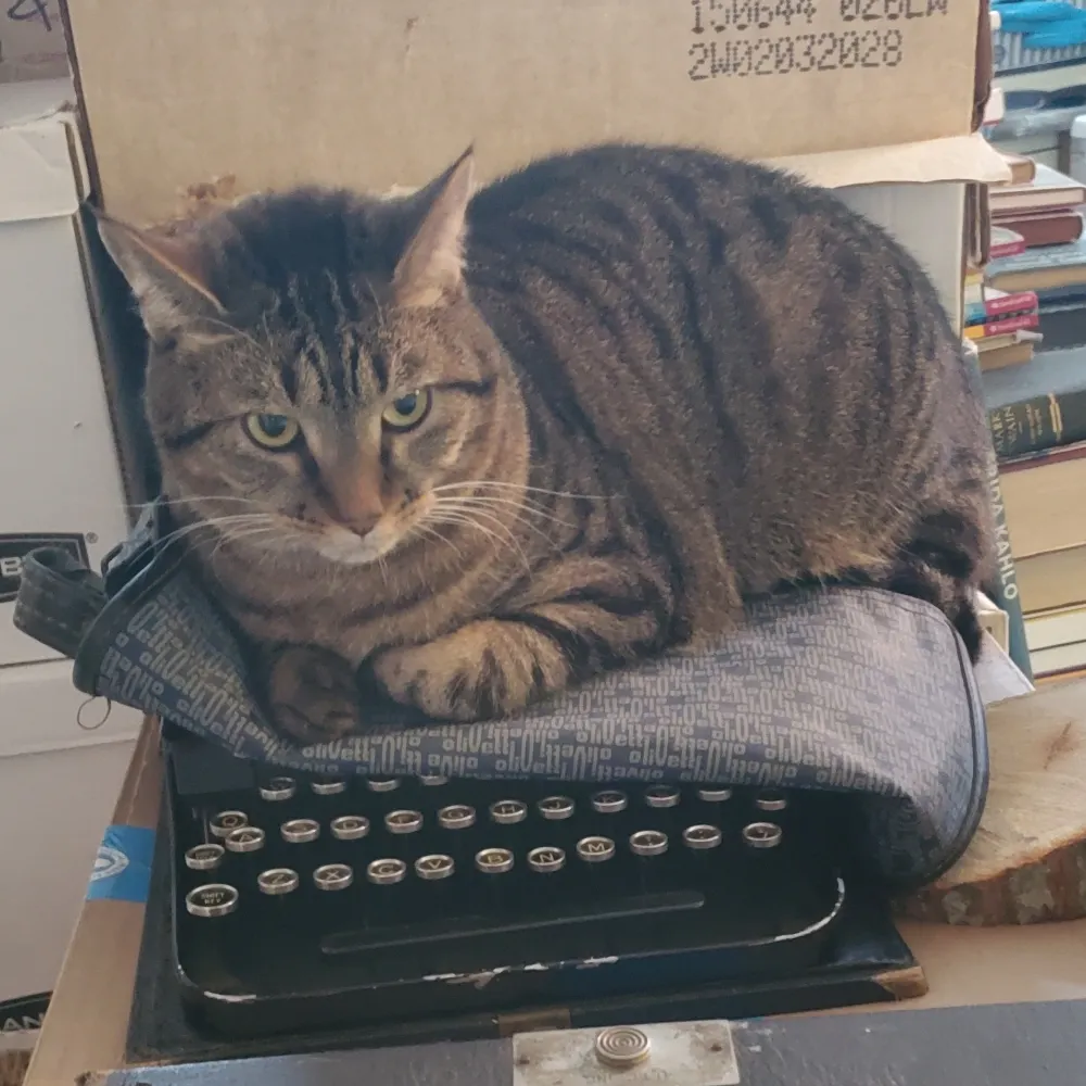 jijimilou.bsky.social's profile picture