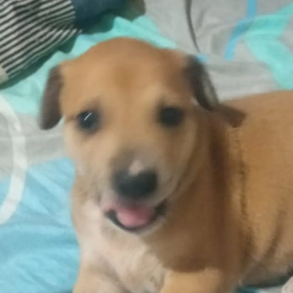 quirudakas.bsky.social's profile picture