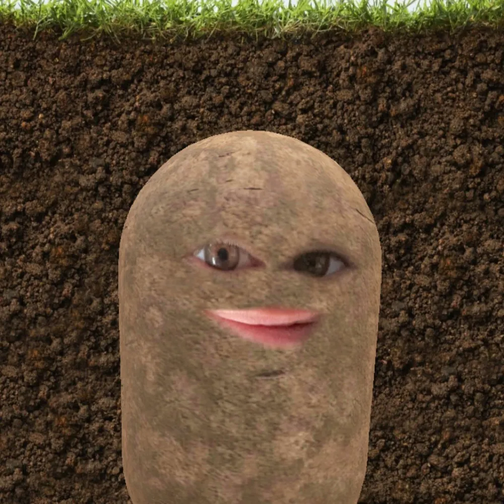 coupedetat.bsky.social's profile picture